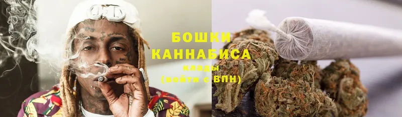 Каннабис SATIVA & INDICA  Великий Устюг 